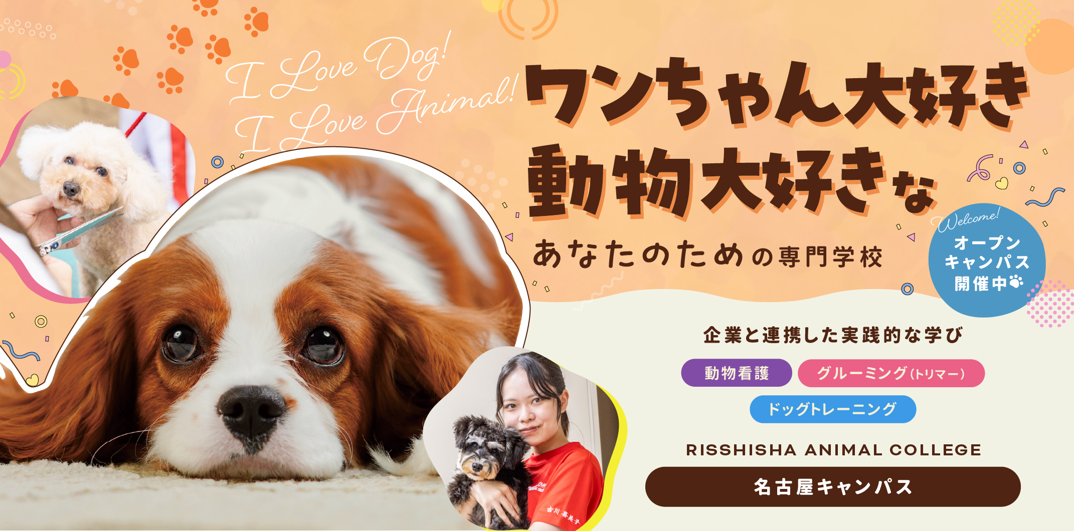 学校画像