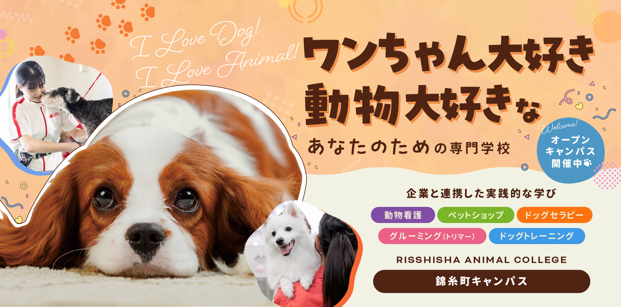 学校画像