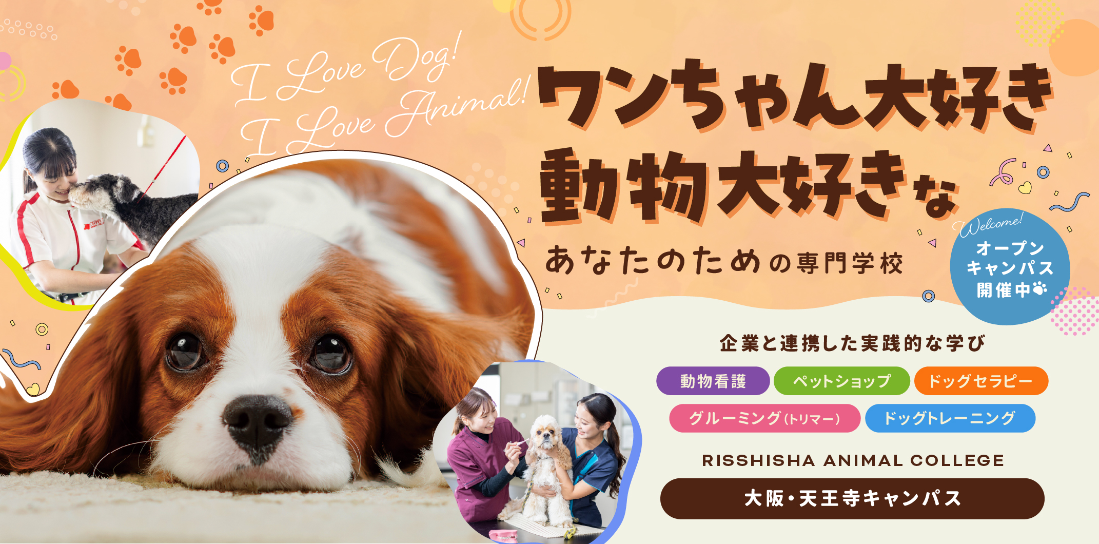学校画像