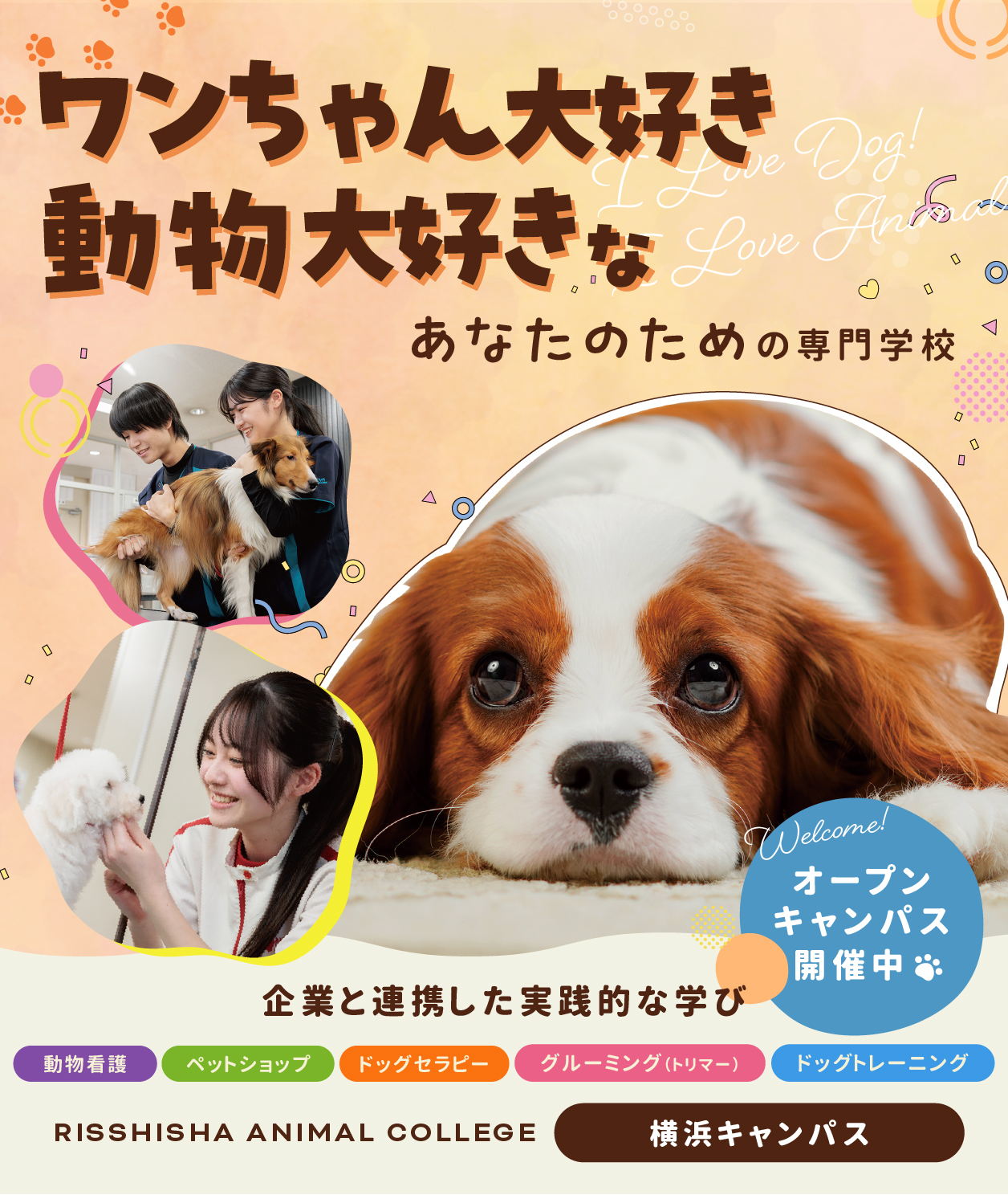 学校画像