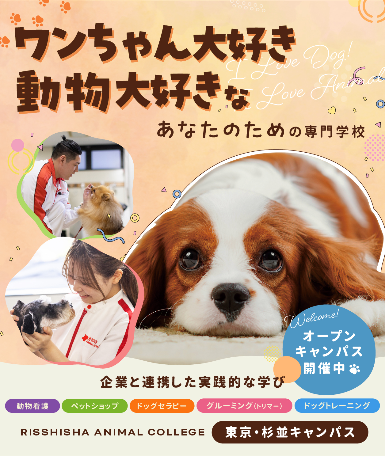 学校画像