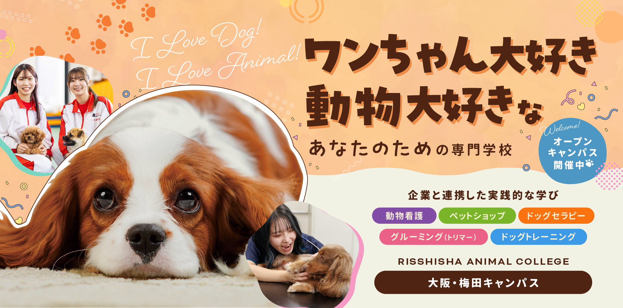 学校画像