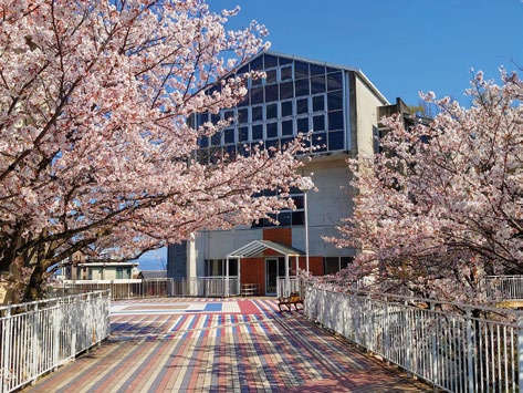 学校画像
